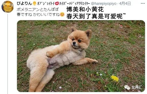 【爆笑】又一位P图过猛的网红？关掉美颜滤镜后的颜值意外流出？太吓人了！（组图） - 33