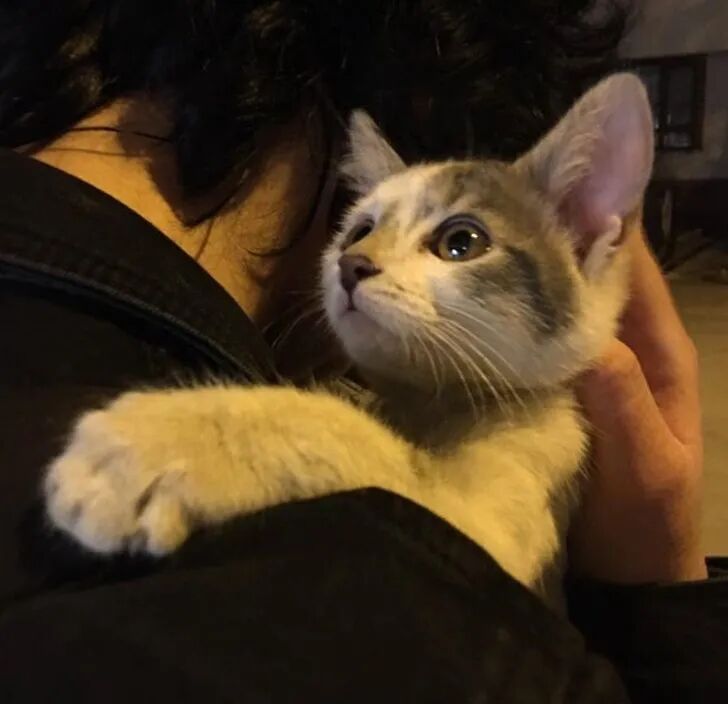 抱一抱，那个抱一抱！