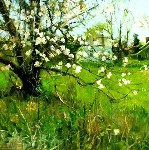 岁月不饶人，善忘是高人！