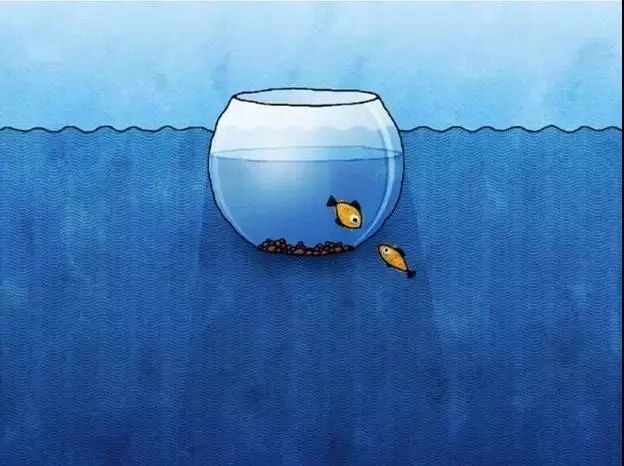 优秀的孩子都离不开这10条黄金教育法则