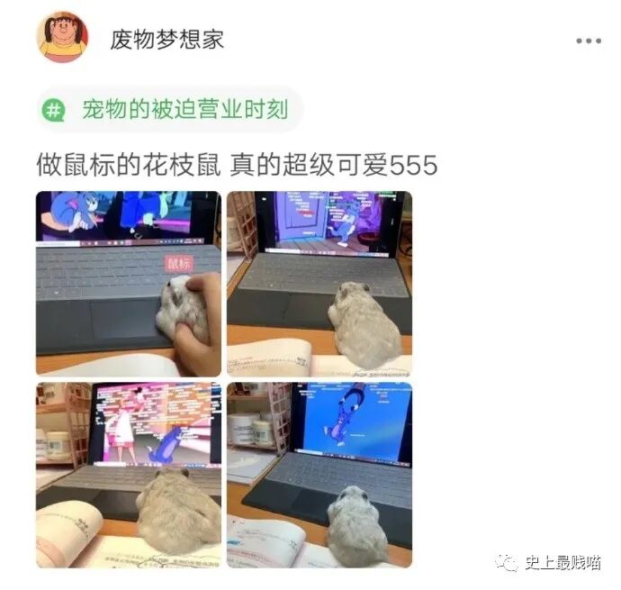 【爆笑】“Tony你欠我的用什么还！！” 哈哈哈哈哈网友理发翻车大型事故现场（组图） - 21
