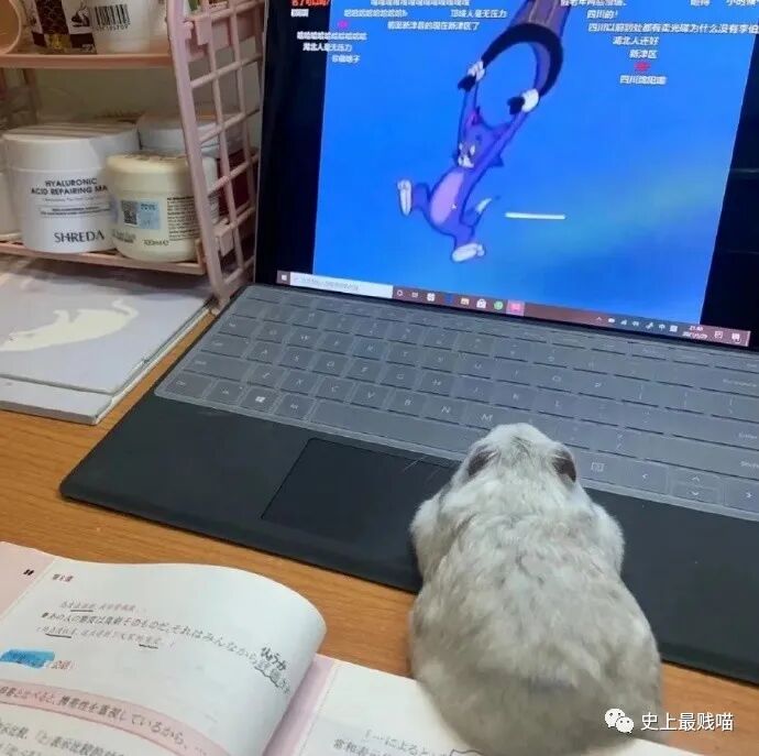 【爆笑】“Tony你欠我的用什么还！！” 哈哈哈哈哈网友理发翻车大型事故现场（组图） - 25