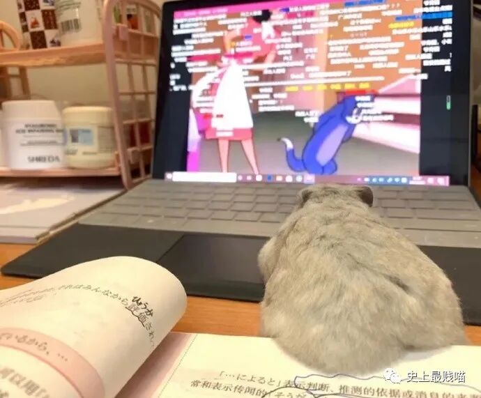 【爆笑】“Tony你欠我的用什么还！！” 哈哈哈哈哈网友理发翻车大型事故现场（组图） - 24
