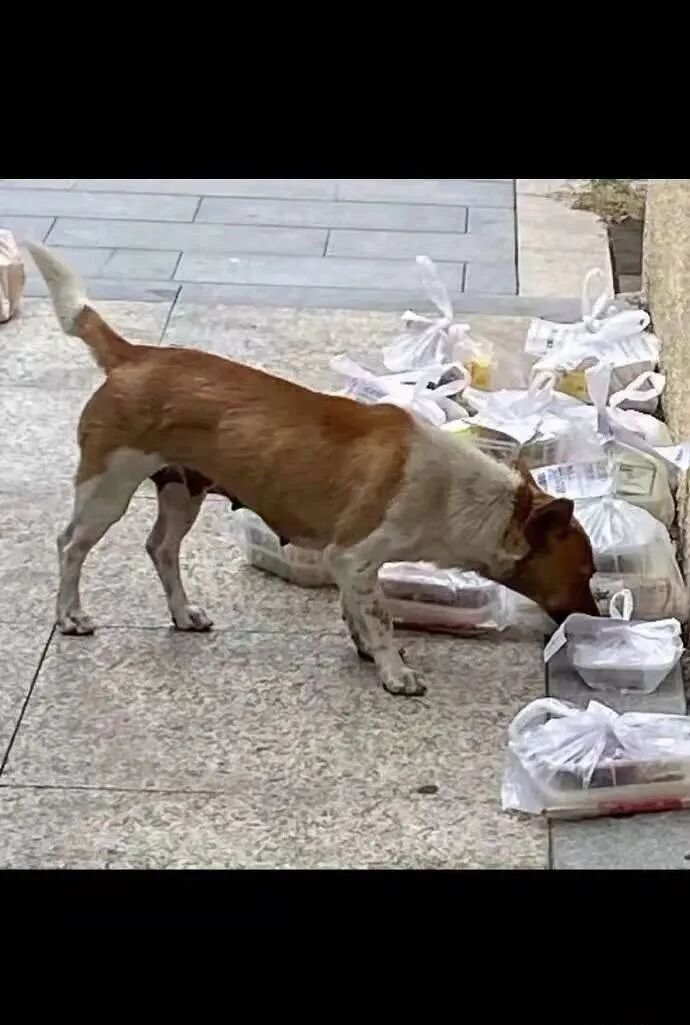 【爆笑】“Tony你欠我的用什么还！！” 哈哈哈哈哈网友理发翻车大型事故现场（组图） - 10