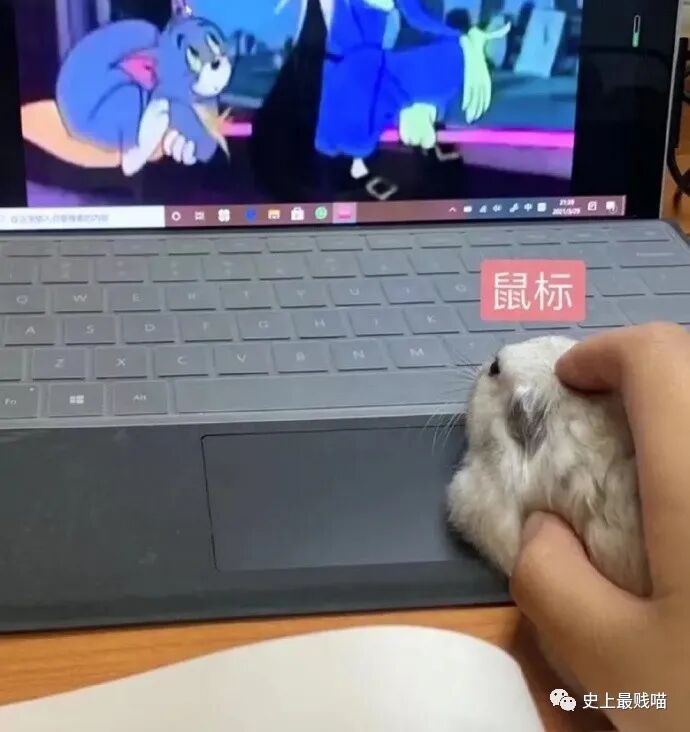【爆笑】“Tony你欠我的用什么还！！” 哈哈哈哈哈网友理发翻车大型事故现场（组图） - 22