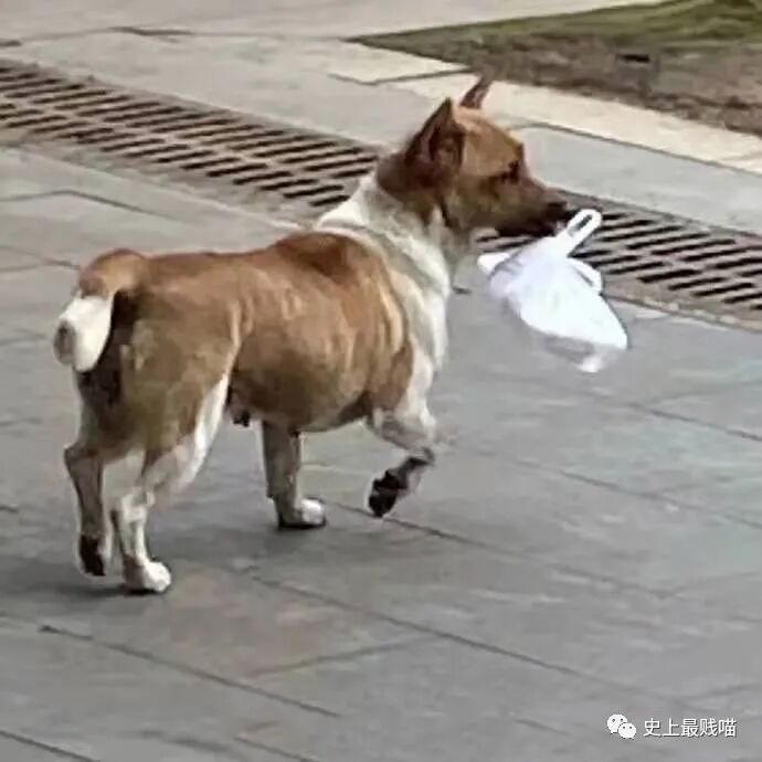 【爆笑】“Tony你欠我的用什么还！！” 哈哈哈哈哈网友理发翻车大型事故现场（组图） - 9