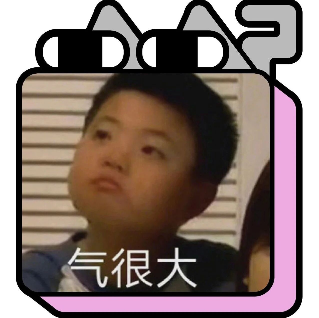 “铲屎官的日常可以有多暴躁？？”看完真的笑出狗叫！