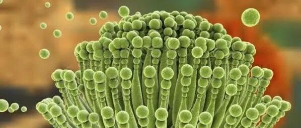 “一级致癌物”名单来了，看看有你喜欢吃的吗？