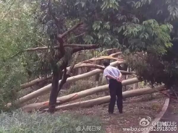 贵大校长郑强调回浙大？盘点那些国内著名“网红”大学校长