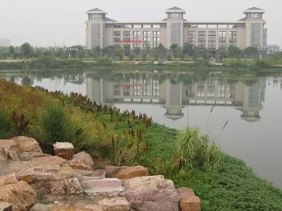 其实我想说，东南大学这所优秀的985大学真的不在福建省