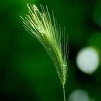 用户来信——考研初试之前的迷茫与焦虑