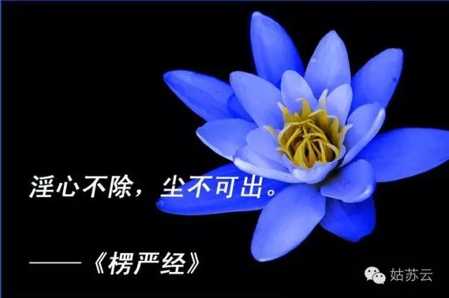 明理又践行,轻松戒邪淫 - 广行法师 - 广行佛教 明理又践行,轻松戒邪淫 - 广行法师 - 广行佛教