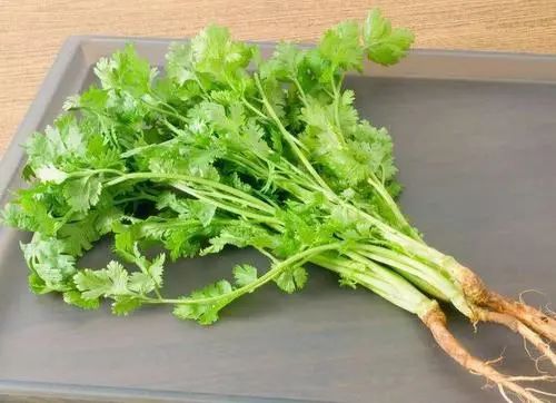 这几种难吃的菜反而让你健康10倍，第一个我就惊呆了！