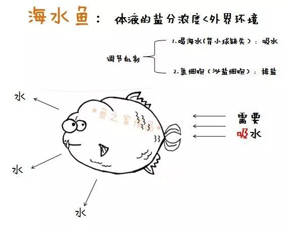 7个海洋里的热问题冷常识——你能答对几个？ 白子关刀鱼苗 第10张