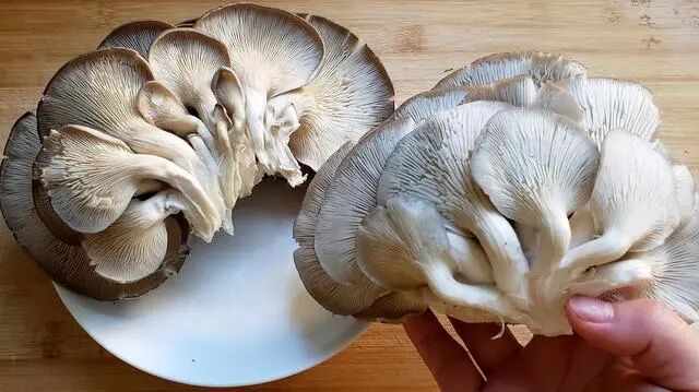 4种食物是肝硬化的“克星”，平时多吃点，或许让肝脏慢慢变软