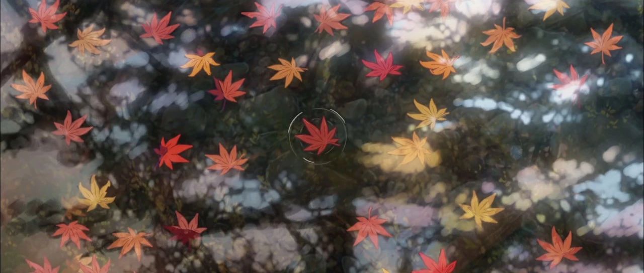cover_image