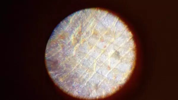 创客行|科学遨游肉眼无法看到的“世界”