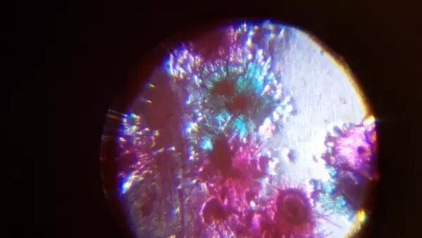 创客行|科学遨游肉眼无法看到的“世界”