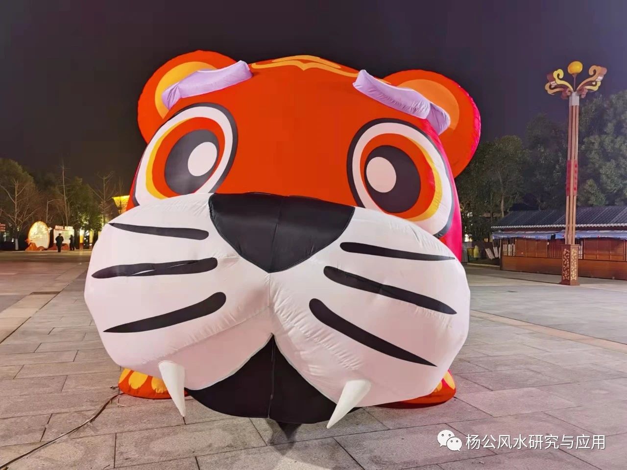 曾祥裕漫谈2022(壬寅年)运势