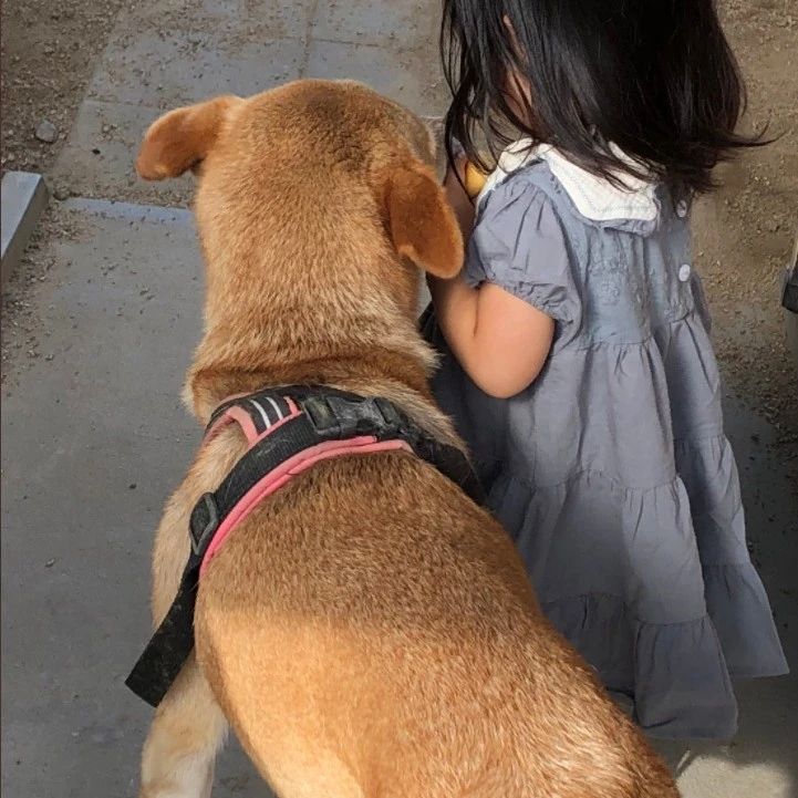 狗狗热情的和小女孩依偎在一起，正觉温馨，下一秒却惊了？！