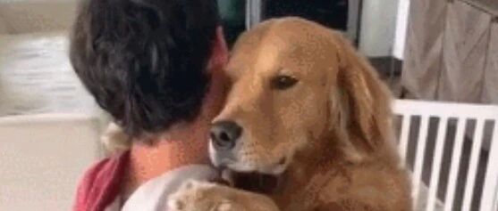 “我家狗以为，它是我亲生的……”