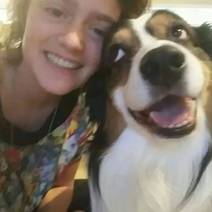 哪个瞬间你觉得这狗没白养？网友：当它用这个眼神看着我时...