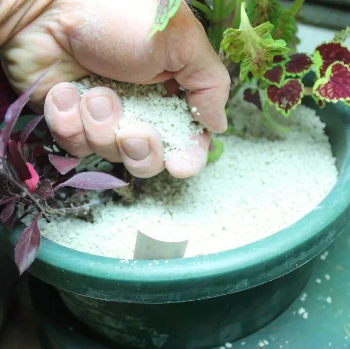 几种天然防治害虫的方法 对有毒农药说不 学会有机养护室内植物 生活家 生活资讯 生活315 生活指南 生活品位 微信头条新闻公众号文章收集网