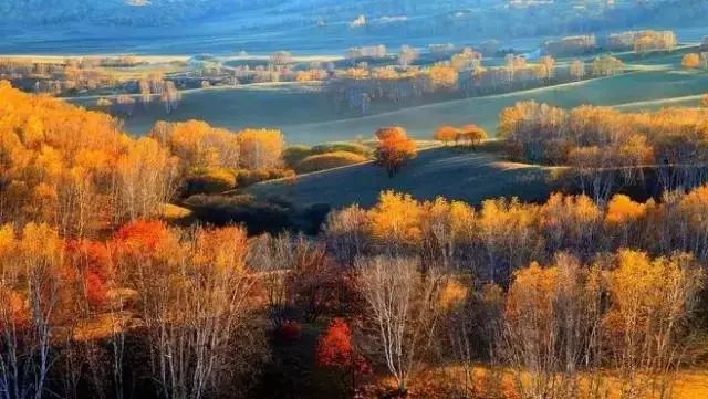 广州在哪能学企业管理专业