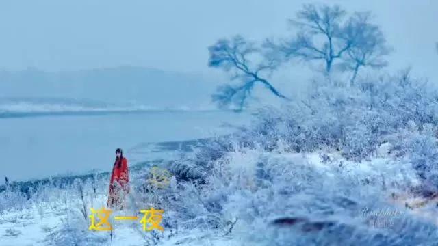 郑源 储兰兰《寒江雪》真是好听极了