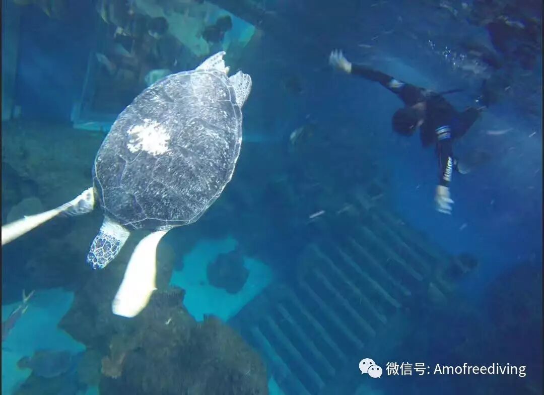 漫谈天生自动耳压平衡btv