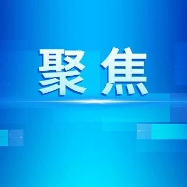 林应武赴台山市调研乡村振兴示范带建设工作：突出特色提升品位 高标准推进示范带建设