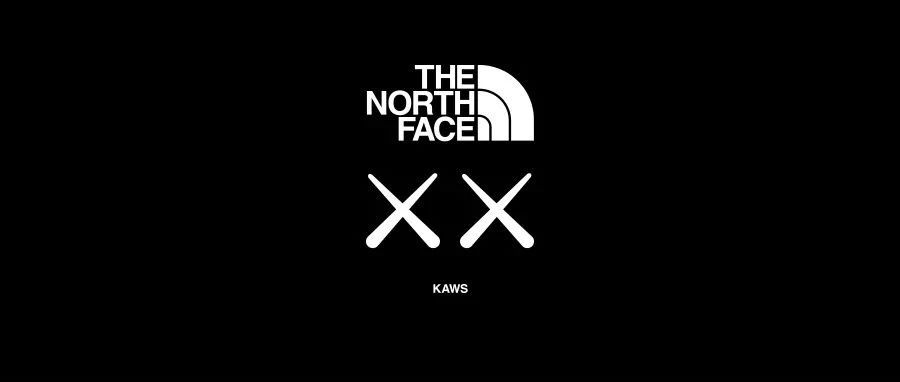 The North Face XX KAWS