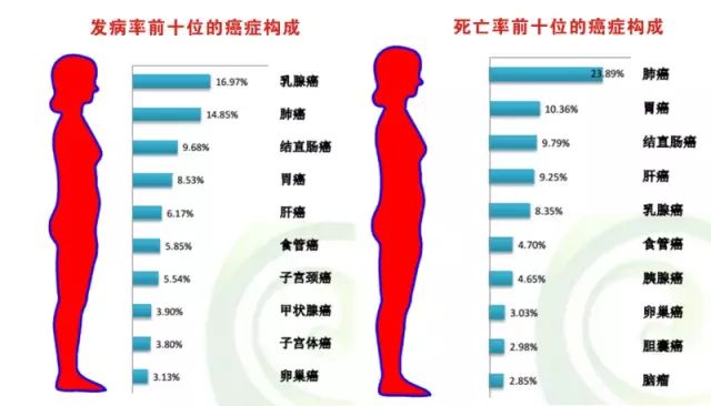 图形1.jpg