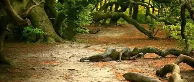 你能找出几个女人？4-6个正常，7-9个聪明，14-18高智商！