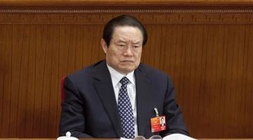 梅婷被指参股周永康儿媳公司 盘点落马高官背后的女明星