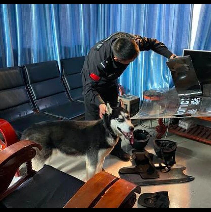 被王源反黑组公开辱骂后王俊凯深夜更博 文案大气 疑帮王源解围 明星八卦新闻 微信头条新闻公众号文章收集网