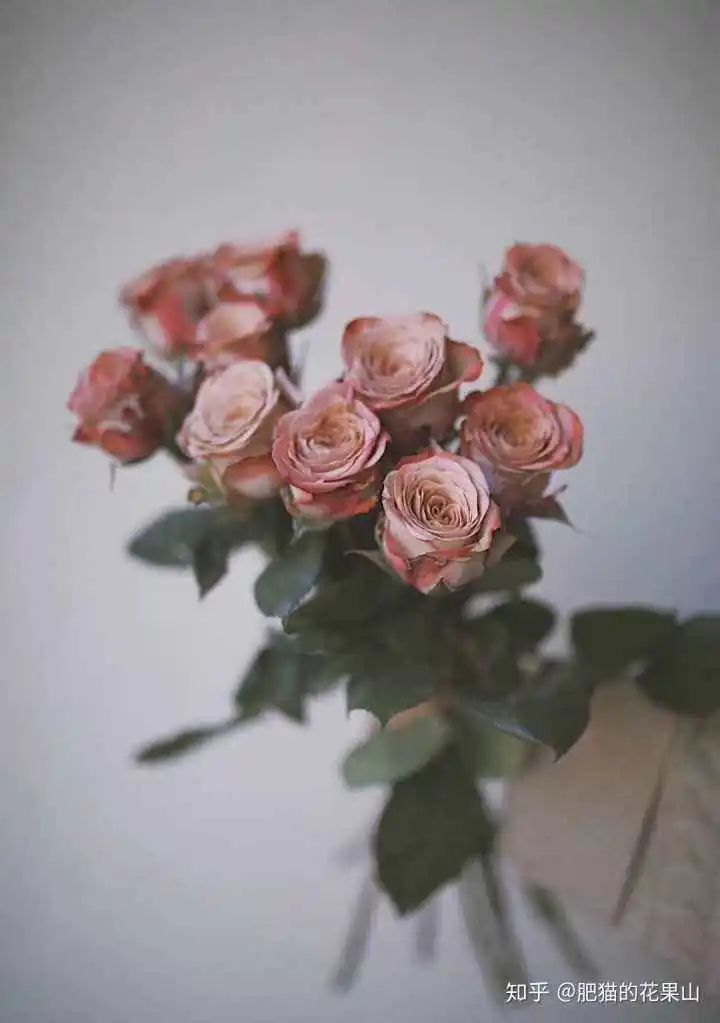 cover_image