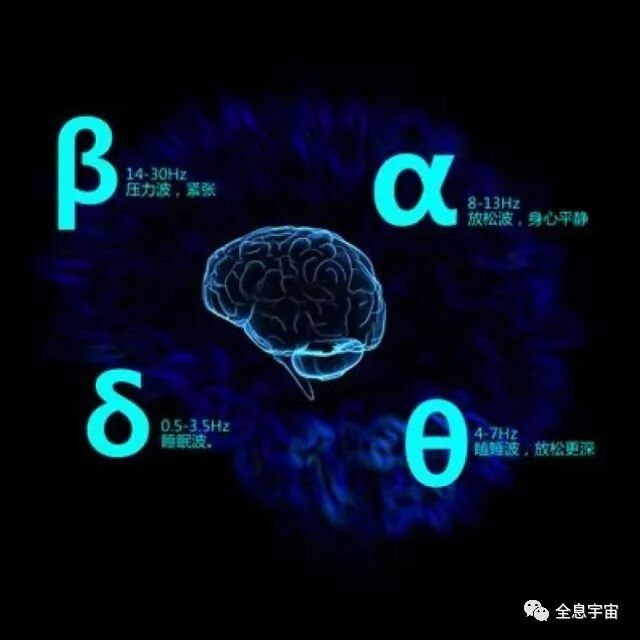 生命密码——神奇的阿尔法脑波
