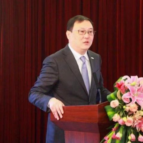董卿老公神秘失联，密春雷百亿商业帝国遇危机