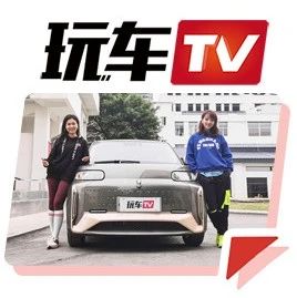 “猫”多眼乱！黑猫、白猫、好猫，还有小野猫！女生：选择困难症~