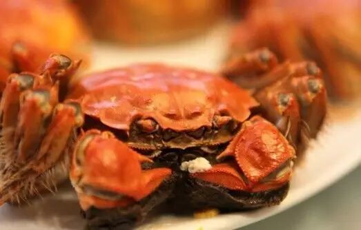 蟹 逅上海大厦 金秋品蟹佳期 持蟹把酒 最美食