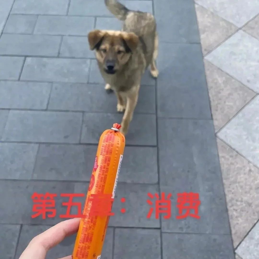 网友偶遇一只流浪狗要食物，便给它买了根火腿肠，结果……