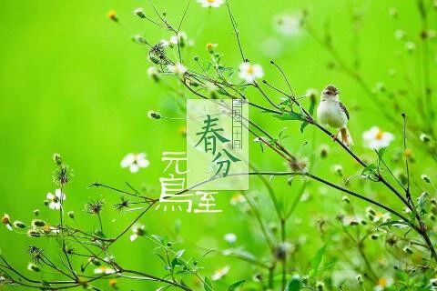 【爱林专栏 · 教学研究33】中考作文“因果思维”探究 ：《因为遇见，我爱上阅读》《因为遇见您，我爱上了语文》