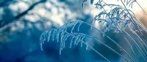 注意：今年三九已提前！最冷最危险的时候来了！