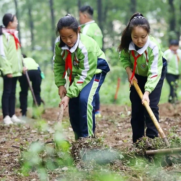 教育部：劳动课将正式成为中小学的一门独立课程