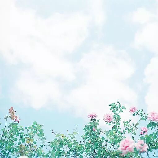 早听：七月，愿所有的美好，都如约而至