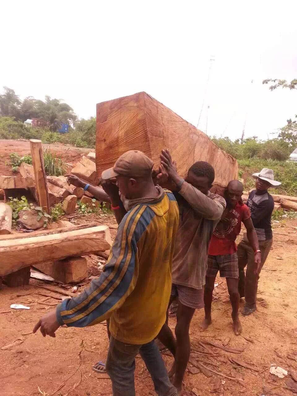 刺猬紫檀10月份再涨10%！厂家：卖掉一套家具的钱，已做不回