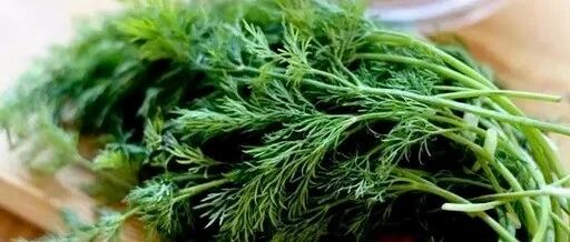 几块钱一斤的“补肾高手”！常吃能温补阳气、防骨质疏松…去菜场千万别错过！