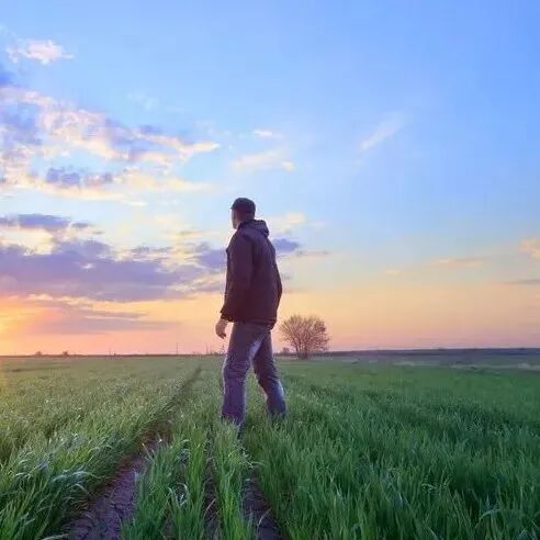 年过四十才顿悟：人这一生，真有因果