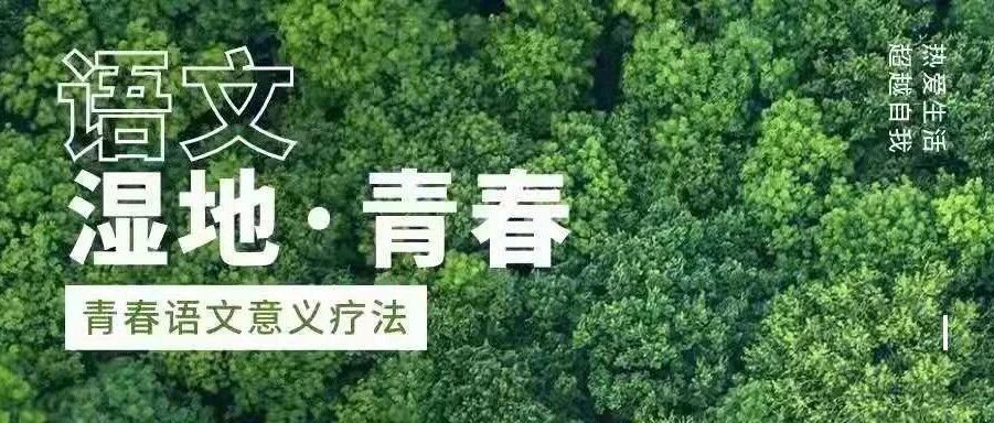 【湿地随笔】白利：她的魅力为何如此之大？
